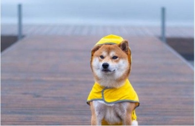 Dust settles and temperatures dip. Photo credit: Unsplash