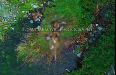 Public discussion grows over whether the scene should be left untouched or managed by authorities. Photo credit: Bora Markovic Photography