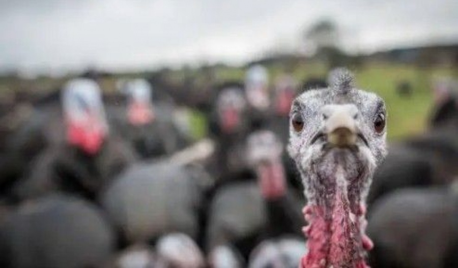 Cyprus ignores the holiday but embraces the weather. Photo credit: Unsplash