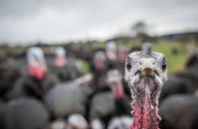 Cyprus ignores the holiday but embraces the weather. Photo credit: Unsplash