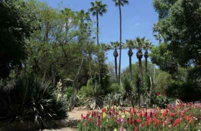 ETAP and local communities join forces to cultivate a year-round food source for bees.