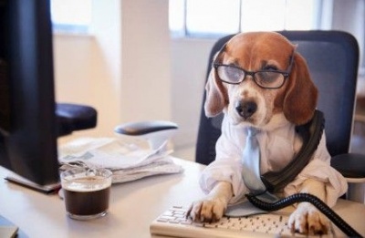 Coffee and Christmas countdown: Your guide to surviving the start of the week and the happiest month. Photo credit: Unsplash