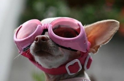 Enjoy the 23°C while you can: It’s the warm before the storm (and the sneeze).