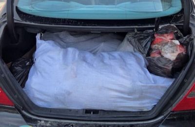 Spike in raw meat smuggling worries Customs