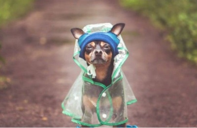 A weekend of high drama: Rain on the coast and snow on the peaks.