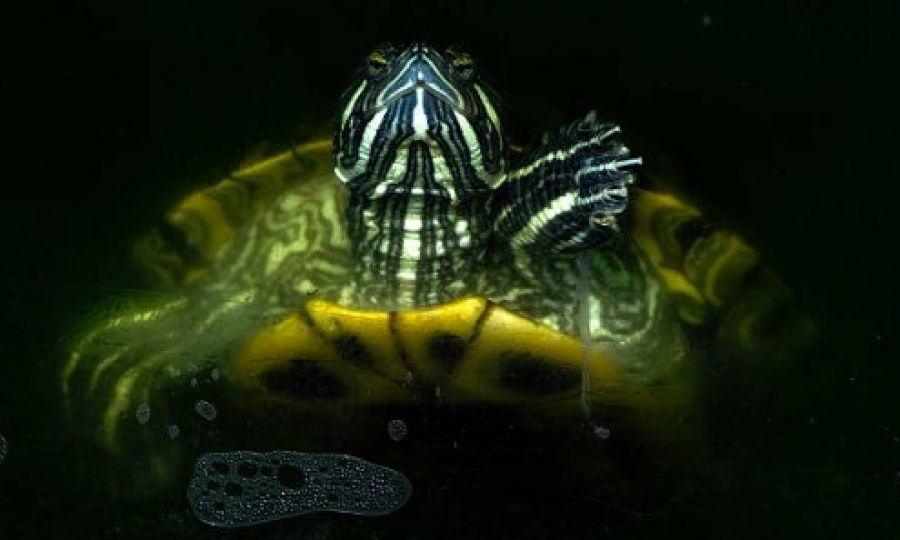 Wednesday weather bulletin: Winter has a sense of humor