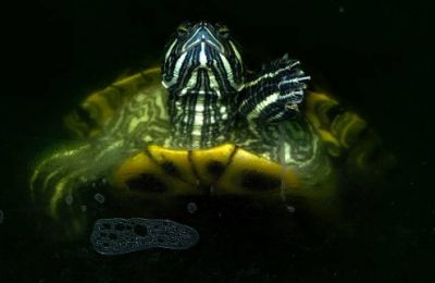 Temperatures dip and BYRON throws a showers-and-thunderstorms party. Photo credit: Unsplash