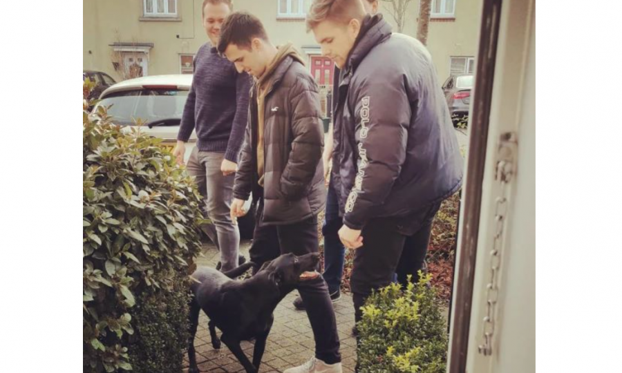 From Cyprus to Bristol: One dog brings a neighborhood together