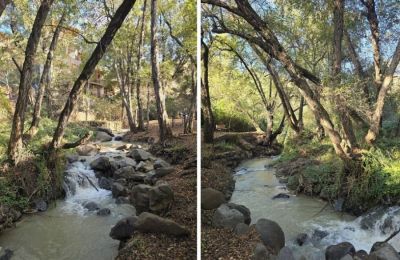 Winter rains revive Kakopetria’s Vateris trail