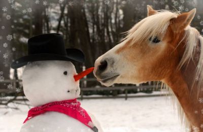 Showers, thunder & a touch of dust: The weather can’t make up its mind. Photo credit: Unsplash