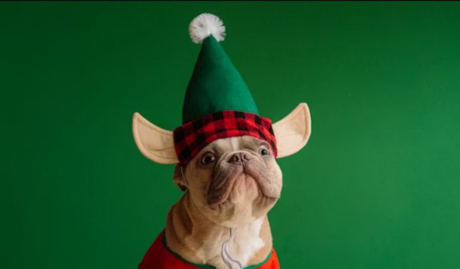 Showers and mountain frost tease winter’s arrival without ringing the bells just yet. Photo credit: Unsplash