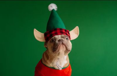 Showers and mountain frost tease winter’s arrival without ringing the bells just yet. Photo credit: Unsplash