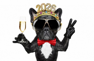 Rough seas now, calmer skies ahead as the New Year slowly finds its footing. Photo credit: Unsplash