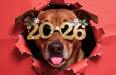 Low pressure exits dramatically and high pressure moves in quietly, just like your motivation after New Year’s. Photo credit: Unsplash