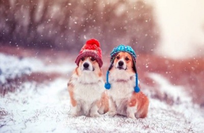 30 cm snow still covers the peaks, but bundle up, temperatures are set to drop by Sunday. Photo credit: Unsplash