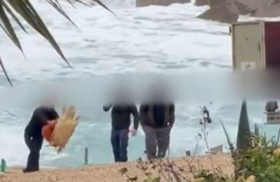 Sea turtle incident triggers disciplinary probe in Chloraka