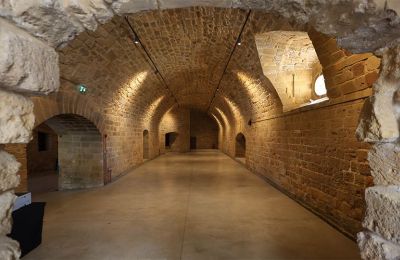 Nicosia's Famagusta Gate reopens after seven years