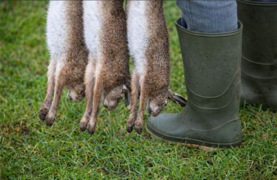Difficult terrain hampers patrols as suspects flee toward occupied areas. File photo Unsplash