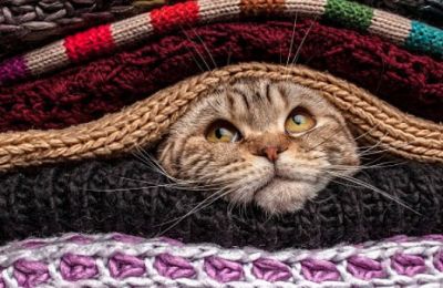 Gradual temperature rise expected midweek after below-average conditions early on. Photo credit: Unsplash