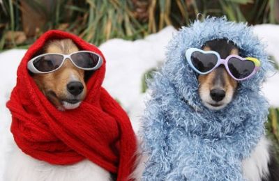 Thermometers finally start climbing tomorrow, but bring rain and dust with them. Photo credit: Unsplash