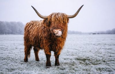 Snow or sleet expected on Troodos, with temperatures stuck at 12°C inland. File photo Unsplash