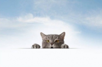  Batten down the hatches! onight brings gale-force gusts and fresh powder on Troodos. Photo credit: Unsplash