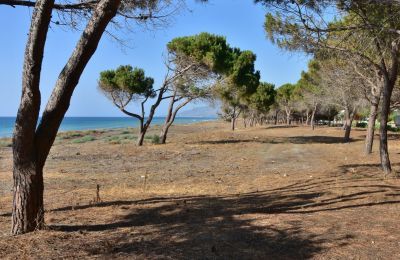 Protected forests, questionable leases and lost millions