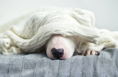 Don't let the mild 18°C fool you. Tonight brings 6 Beaufort winds and thunder. Photo credit: Unsplash