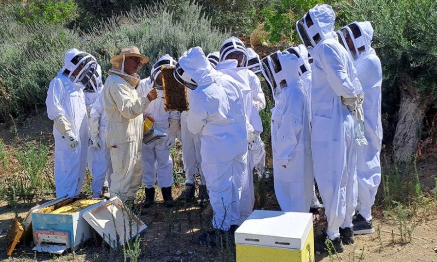 Cyprus takes lead in €2.8m Mediterranean ‘Bee Economy’ project