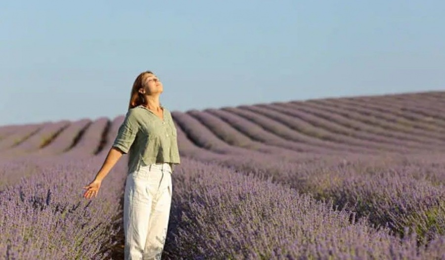 No more desert vibes. Today offers clear skies, light winds, and great views.