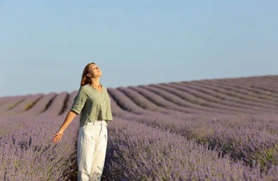 No more desert vibes. Today offers clear skies, light winds, and great views.