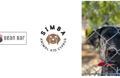 Bean Bar embraces Simba Animal Aid’s stray dogs
