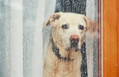 Dust and rain combine today for a dirty drizzle. Photo credit: Unsplash