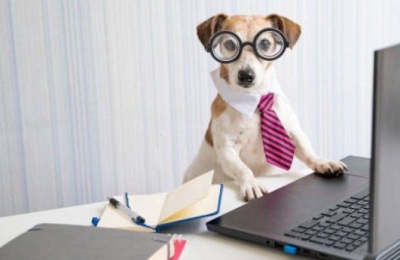 Keep the umbrella on standby. Rain and thunder arrive tomorrow afternoon. Photo credit: Unsplash