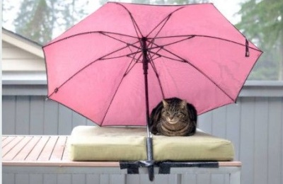 Temperatures are dipping, bringing a chance of snow or sleet to the highest peaks of Troodos. Photo credit: Unsplash