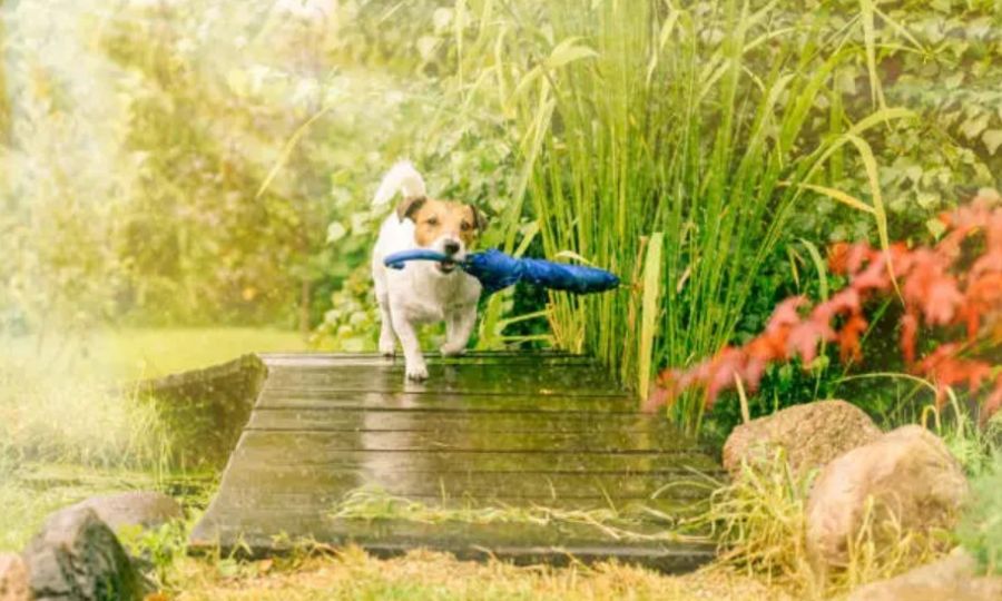 Wednesday, February 11th: The mid-week weather lottery