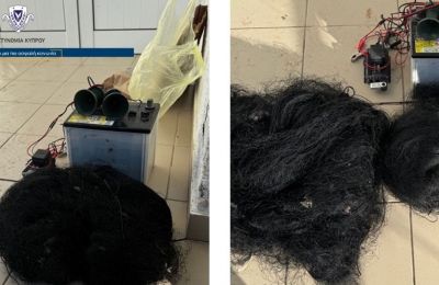 Police investigate illegal bird trapping in Larnaca