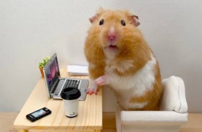  Enjoy the 22°C warmth, thunderstorms and mountain snow wait in the wings for Wednesday. Photo credit: Unsplash