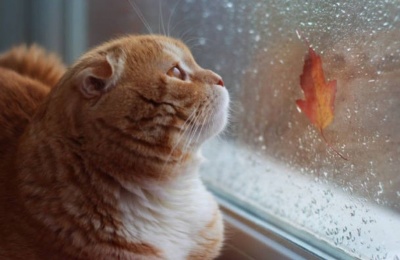 Hold your hats until Friday, when the sun remembers we exist. Photo credit: Unsplash