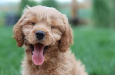 Saturday is flirting with spring before Sunday brings a tiny reality check. Photo credit: Unsplash