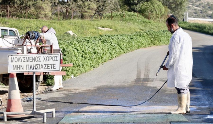 Nationwide livestock lockdown after disease cases detected