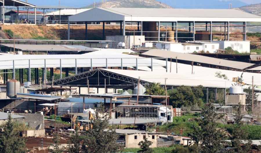 75-year-old arrested in Dali possible source of foot-and-mouth outbreak