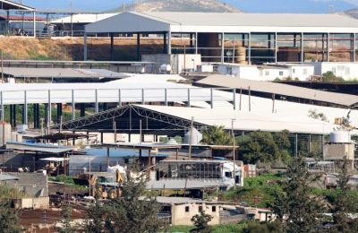 75-year-old arrested in Dali possible source of foot-and-mouth outbreak