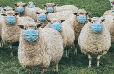 Another crisis, and the same uncomfortable questions. Photo is AI