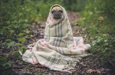 A weekend of ''maybe'' showers and a slow climb back to reality. Photo credit: Unsplash