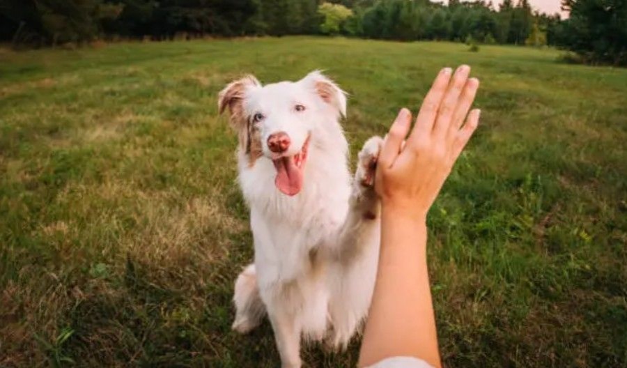 Monday’s cold snap is finally bowing out to make way for the coast's 19°C. Photo credit: Unsplash