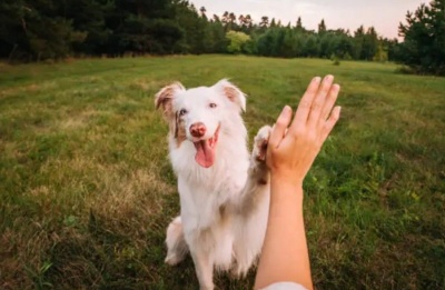 Monday’s cold snap is finally bowing out to make way for the coast's 19°C. Photo credit: Unsplash