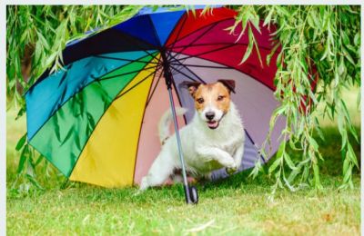Clouds gather confidence by Saturday, when rain, and maybe thunder, plan a cameo appearance. Photo credit: Unsplash