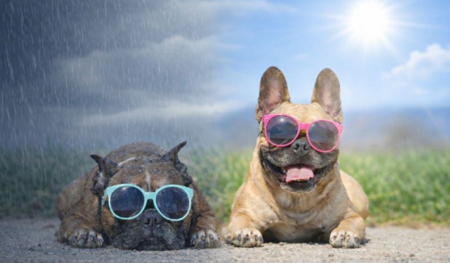 Clouds, the odd shower, and even a sprinkle of mountain snow may pop in. Photo credit: Unsplash