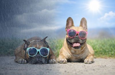 Clouds, the odd shower, and even a sprinkle of mountain snow may pop in. Photo credit: Unsplash